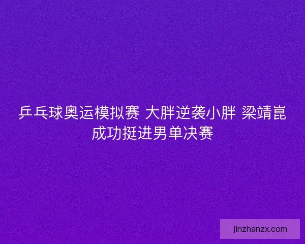 乒乓球奥运模拟赛 大胖逆袭小胖 梁靖崑成功挺进男单决赛 乒乓球奥运模拟赛 大胖逆袭小胖 梁靖崑成功挺进男单决赛